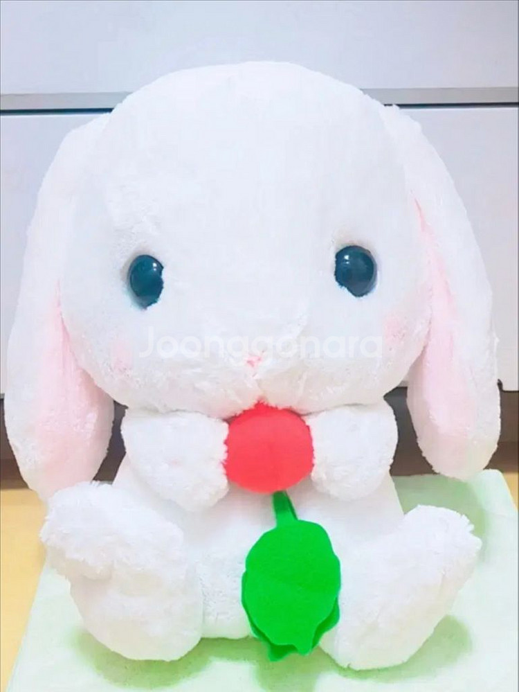 일본정품-어뮤즈 롯삐(토끼인형)--0