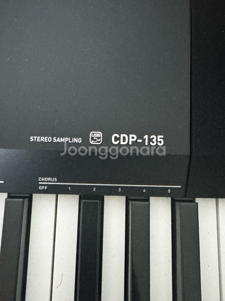 카시오 CDP-135 전자키보드 (전자피아노)--0