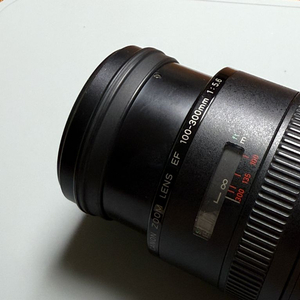 Canon EF 100-300 5.6 렌즈