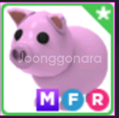 MFR돼지--0