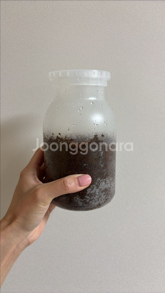 사슴벌레 애벌레 책임분양해요--1