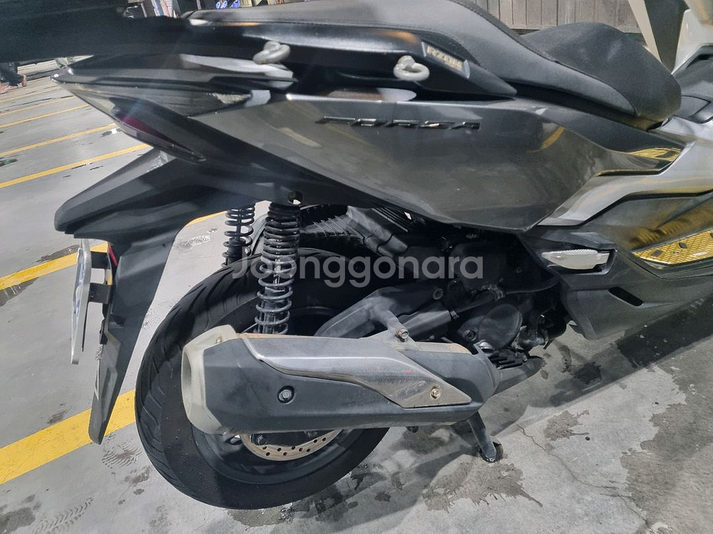 혼다포르자300 2019년식--3