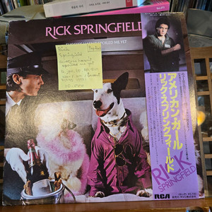 Rick Springfield.success hasnt