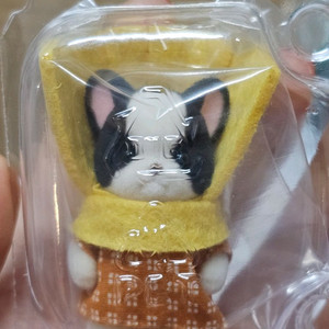 실바니안 G상 불독