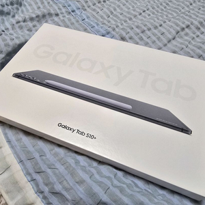 삼성 갤럭시 탭 S10 플러스 Wi-Fi 512GB