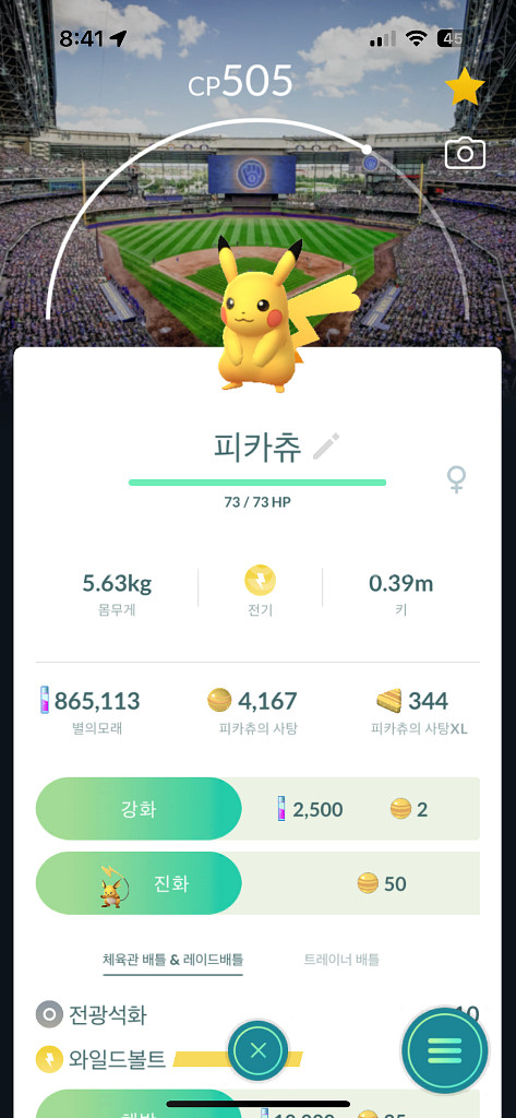 포켓몬고 로케카 야구장 배경 피카츄 판매--0