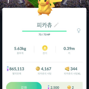 포켓몬고 로케카 야구장 배경 피카츄 판매