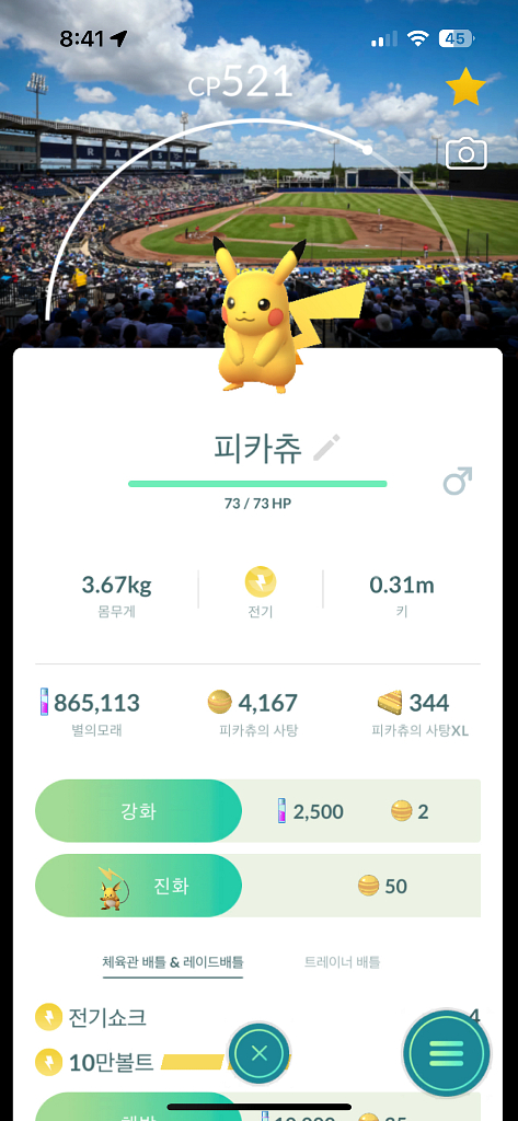 포켓몬고 로케카 야구장 배경 피카츄 판매--1