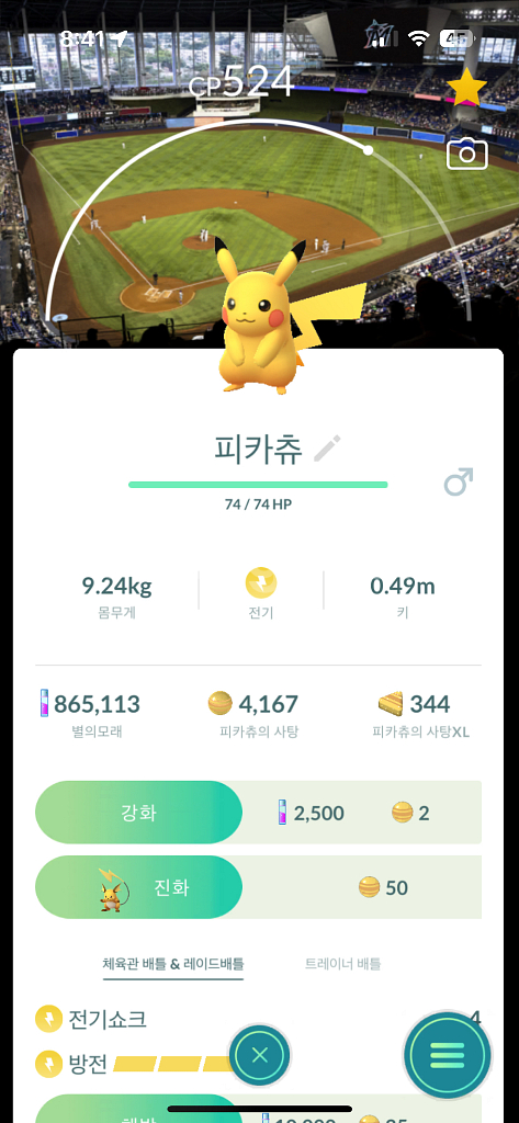 포켓몬고 로케카 야구장 배경 피카츄 판매--2