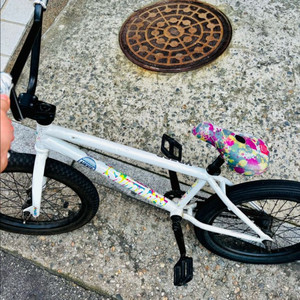 선데이 포어케스터