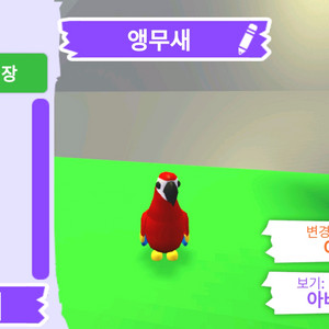 입양하세요 펫 앵무새 판매합니다