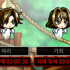 메랜, 메이플랜드 s급 닉네임 팝니다.