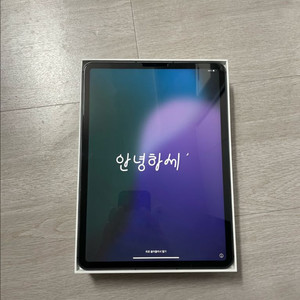아이패드 프로 11 3세대 256 셀룰러 배터리 97