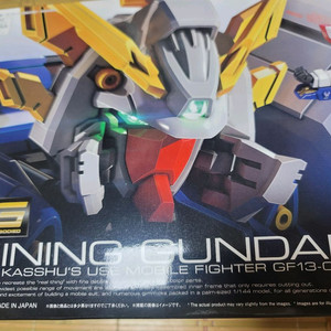 rg 샤이닝건담