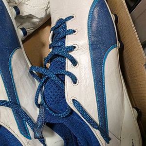푸마 에보터치1 AG 280