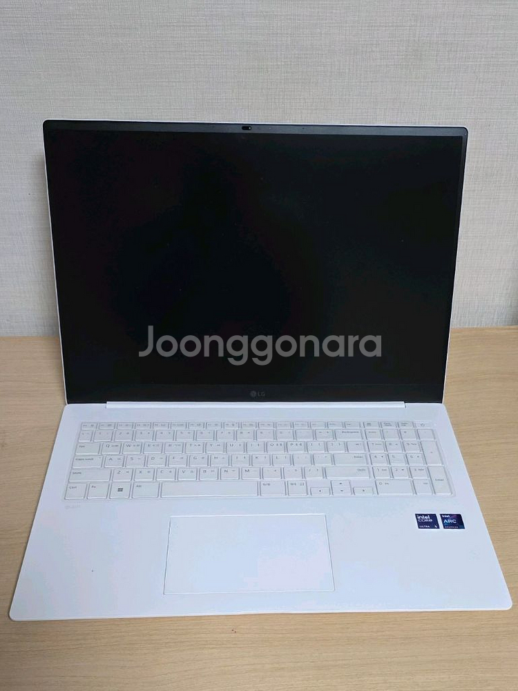 LG전자 그램 프로17 17ZD90SP-GX59K--2