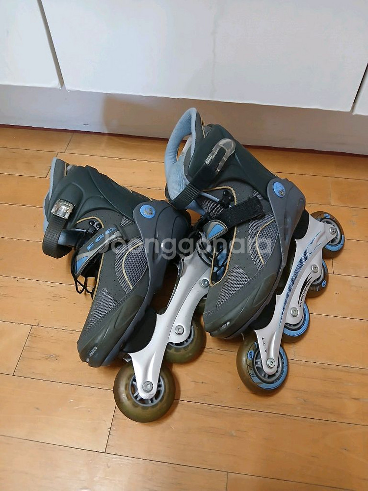 로체스 인라인스케이트 250mm--0
