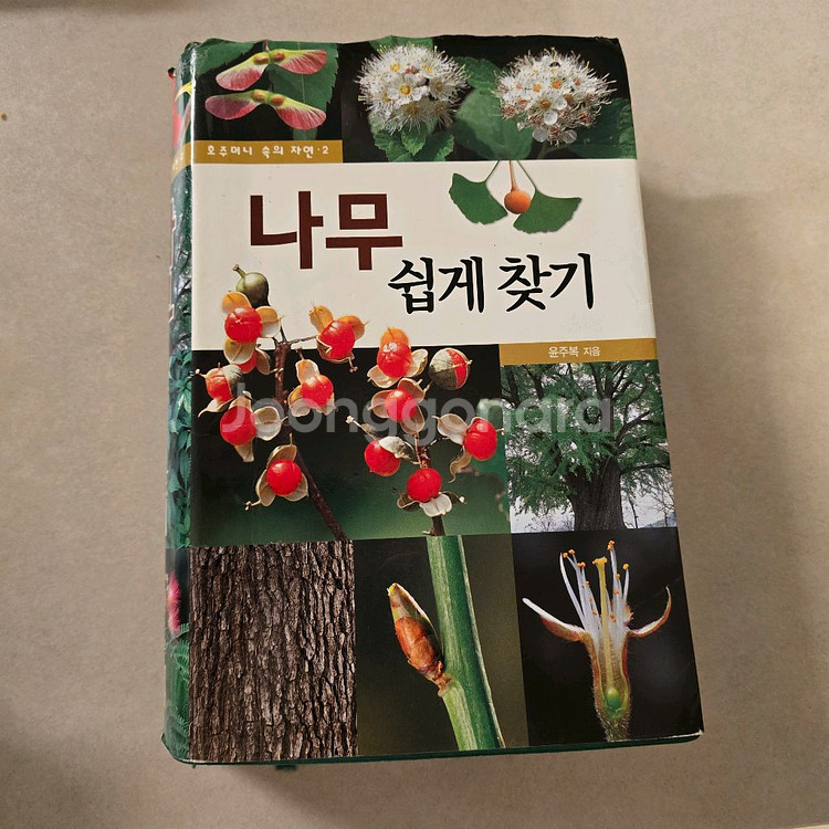 책/ 나무 쉽게 찾기--0