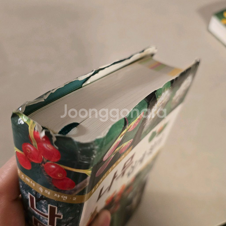 책/ 나무 쉽게 찾기--1