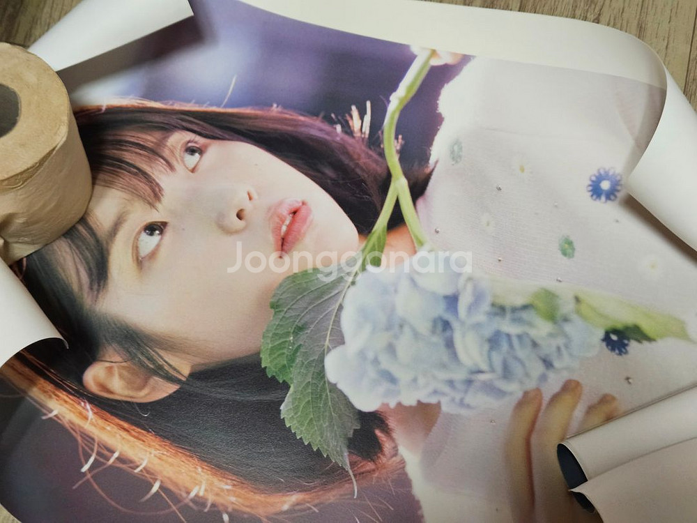 아이유 꽃갈피둘 앨범 +초판 포스터 2장포함 판매합니다--2