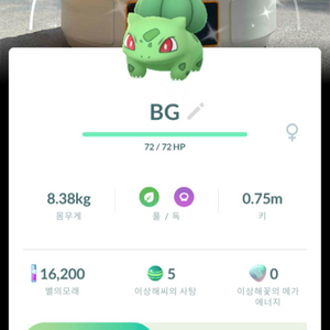 포켓몬고 배경 로케카 이로치 이상해씨 판매