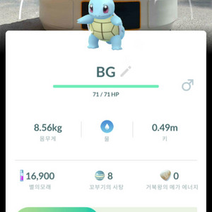 포켓몬고 배경 로케카 이로치 꼬부기 판매