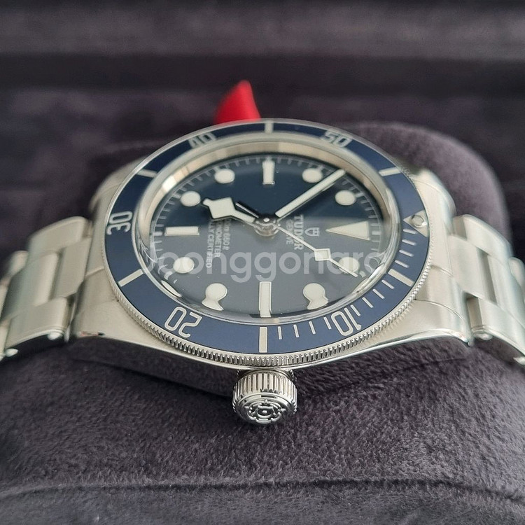 튜더 블랙베이 58 청판 39mm M79030B--4