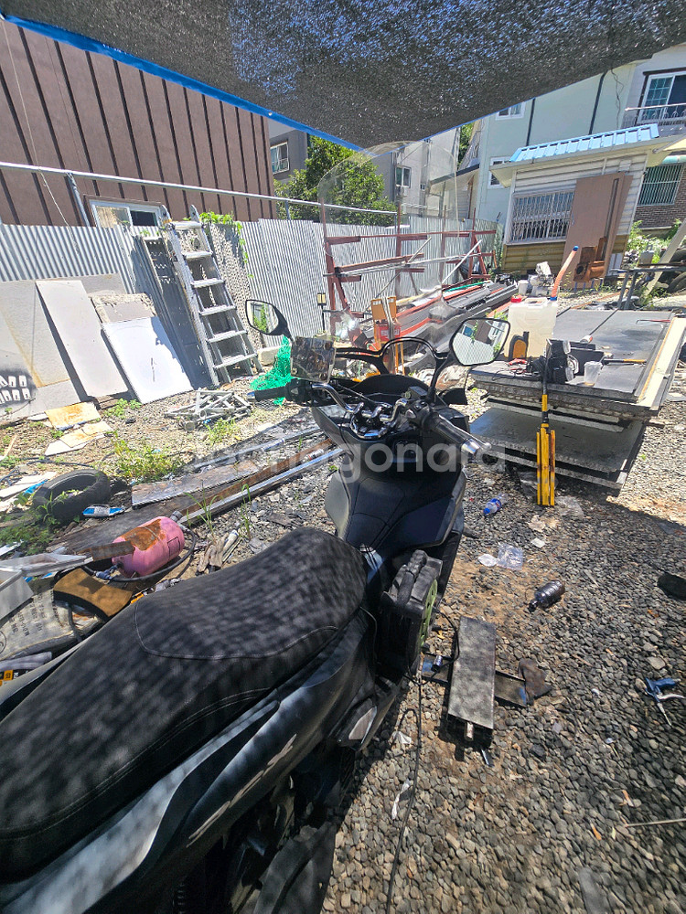 pcx125 23년식 팝니다--0