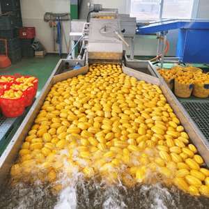 참외 10kg 랜덤과 무료배송 못난이참외