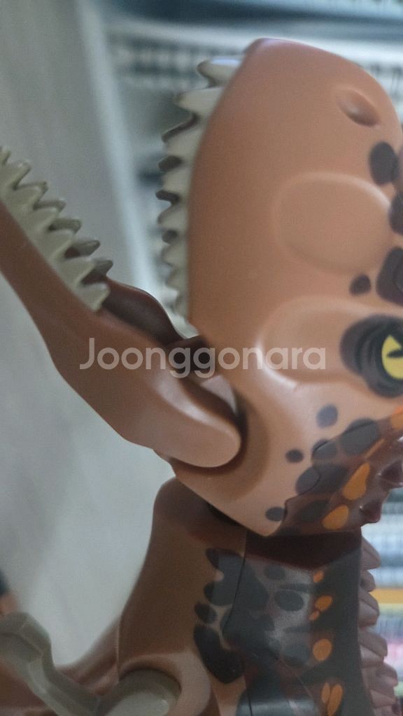 인도랩터,카르노타우르스,벨로시랩터 블루(네고가능)--3