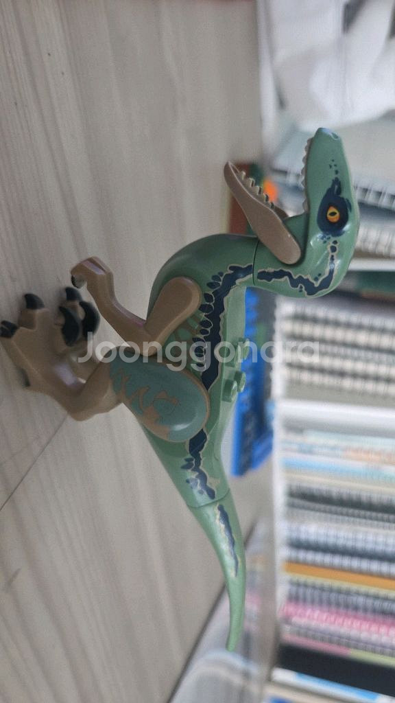 인도랩터,카르노타우르스,벨로시랩터 블루(네고가능)--5
