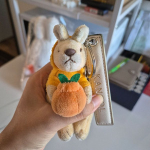 캉골 참