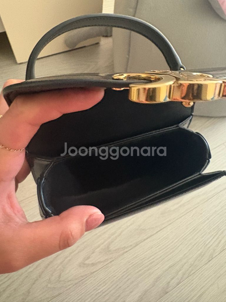 셀린느 클레아 베사체- 샤이니 카프스킨--3