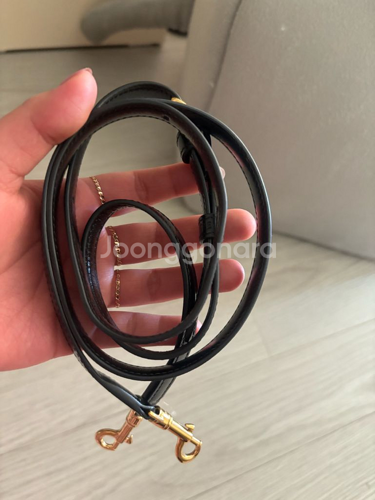 셀린느 클레아 베사체- 샤이니 카프스킨--8