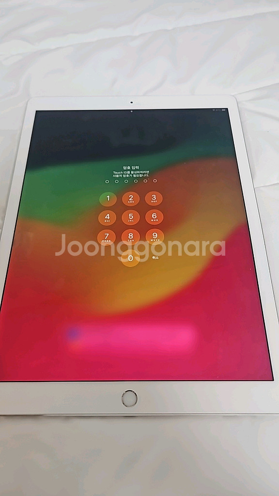 아이패드 프로 12.9 2세대, 애플펜슬 1세대--3