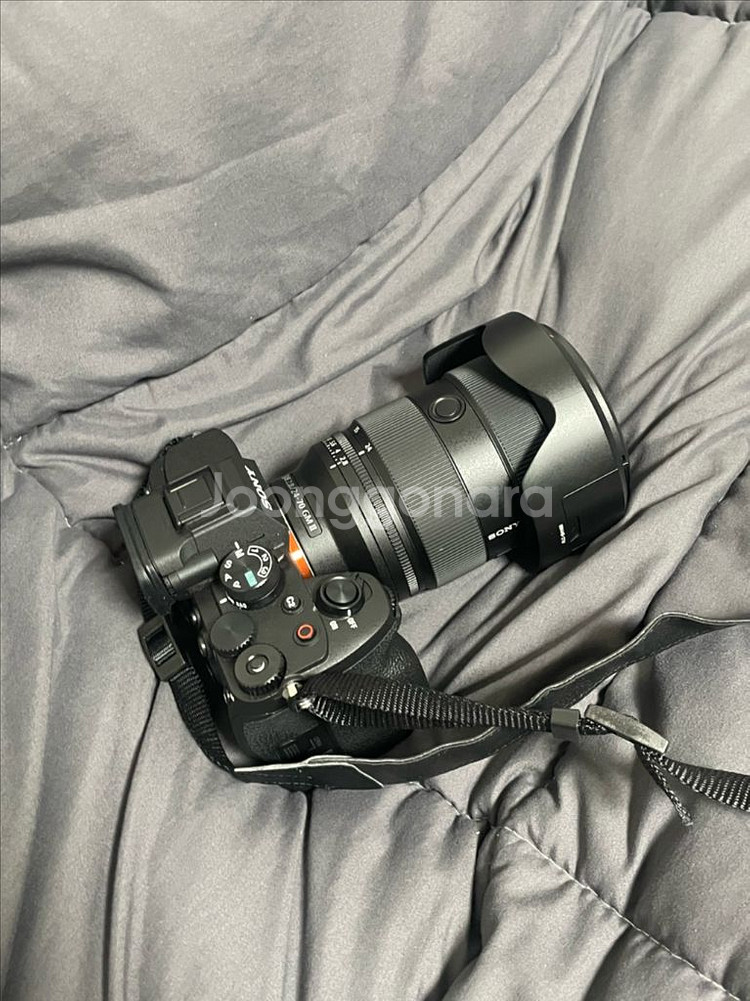 sony a7m4/2470 gm2/ECM-G1--0