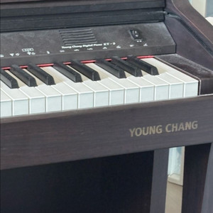 영창 디지털피아노 kt-9