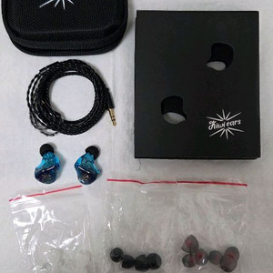Kiwi Ears Forteza IEM 이어폰