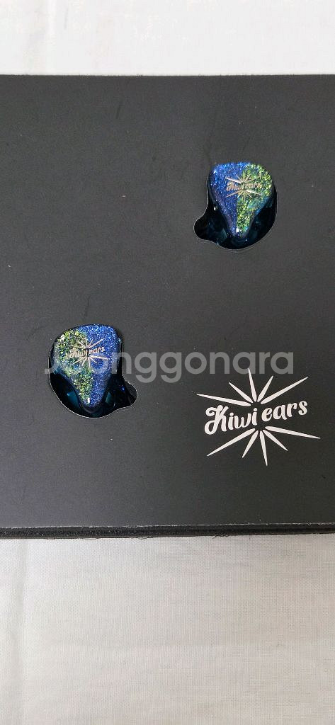 Kiwi Ears Forteza IEM 이어폰--2