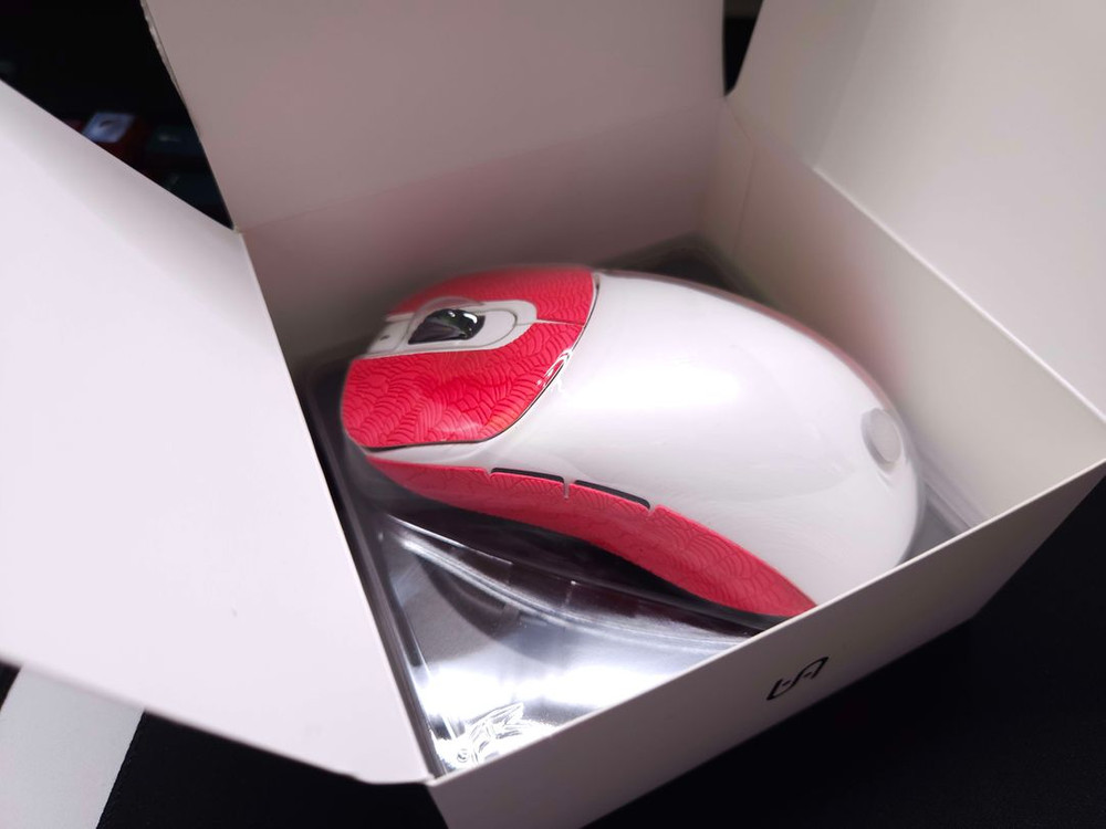 거의 사용하지 않은) 백시 NP01S V2--2