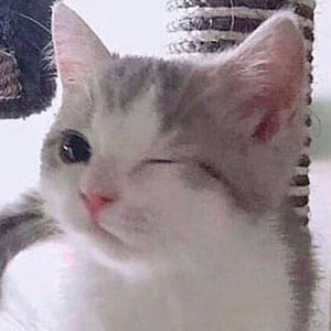 발로란트