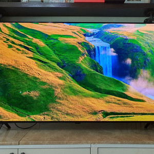 LG OLED 올레드 55인치 TV 팝니다 [2025년