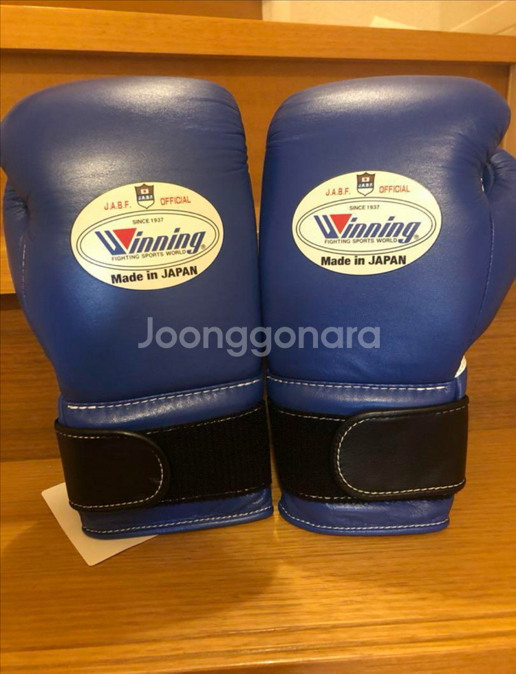 위닝 글러브 12oz 블루--0