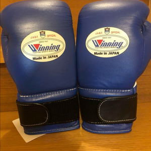 위닝 글러브 12oz 블루