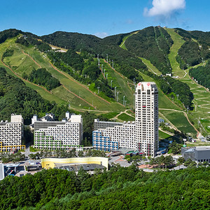 (평창)휘닉스평창 7월30일 8월2일 20평