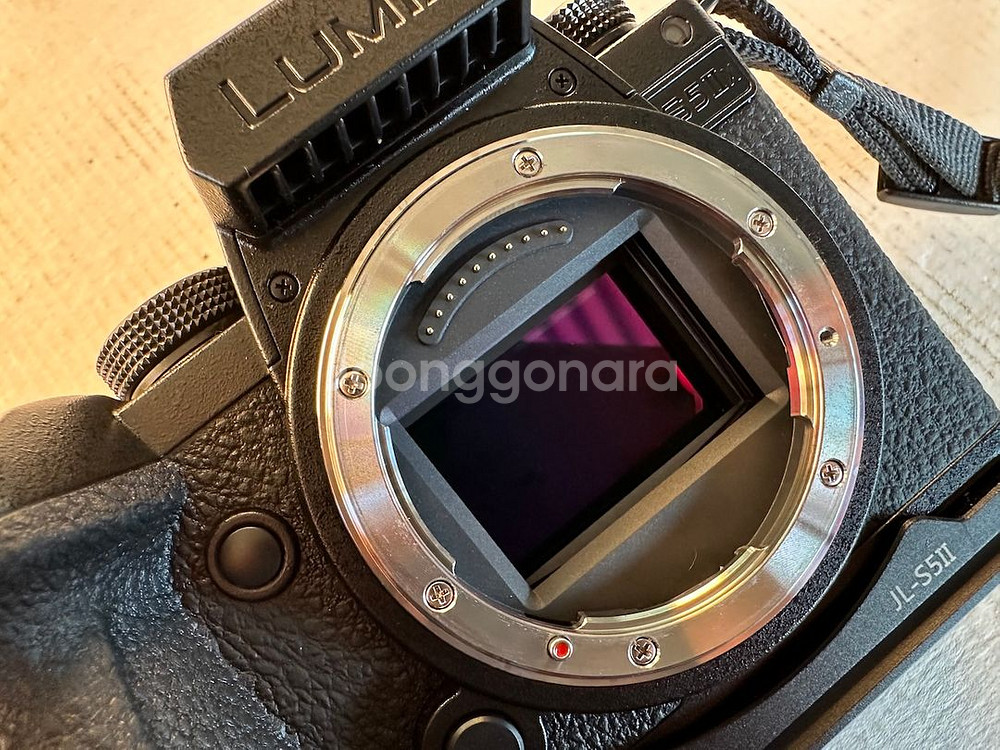 파나소닉 루믹스 DC-S5 IIX--3