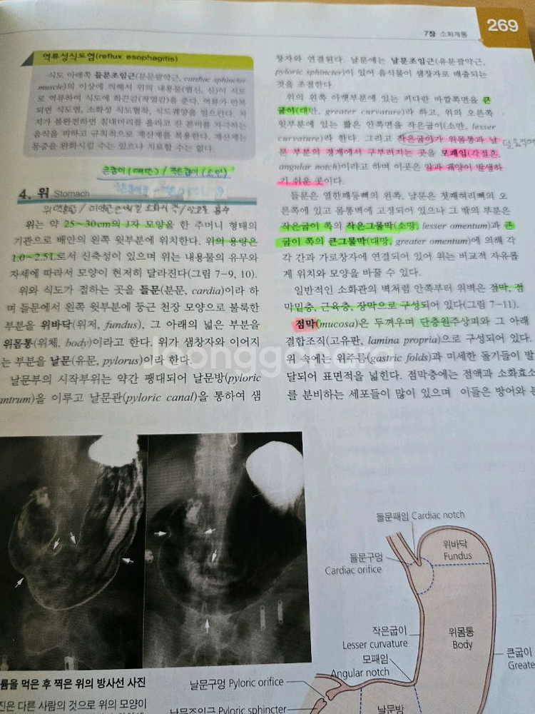 사람해부학 제4판ㅡ현문사--6