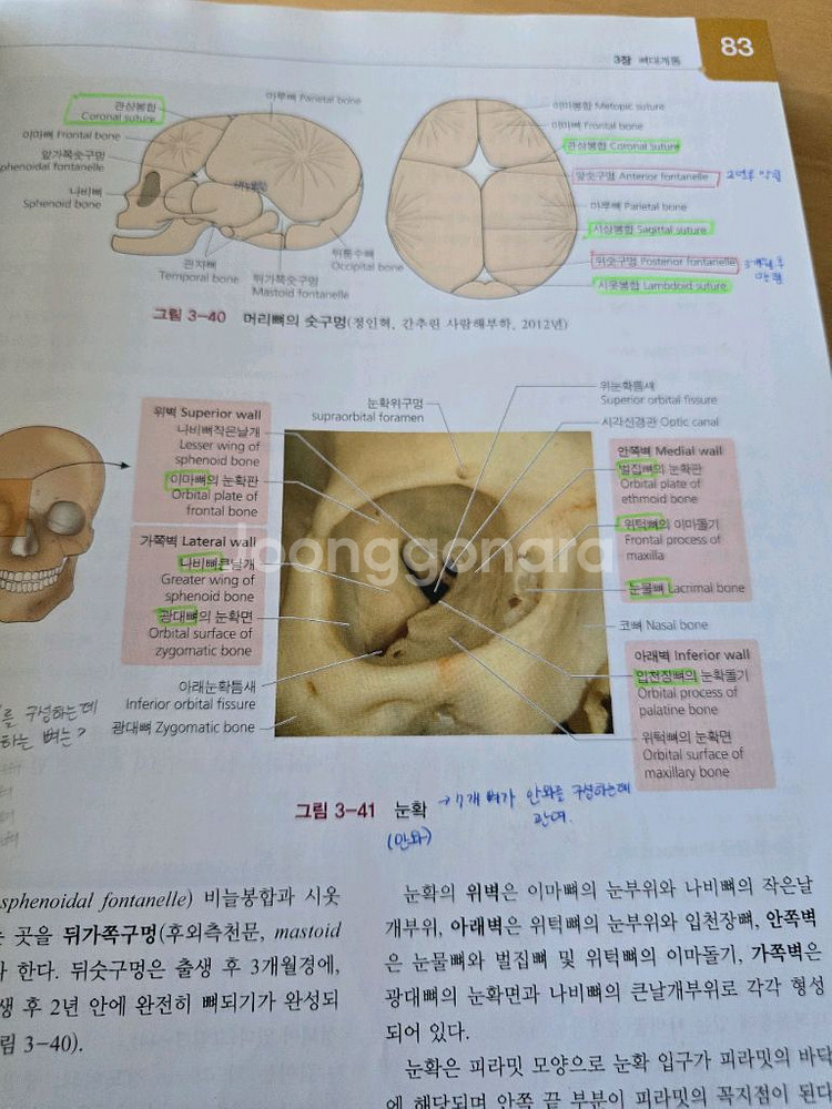 사람해부학 제4판ㅡ현문사--4