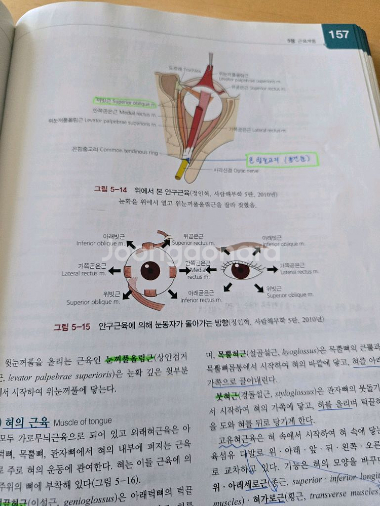 사람해부학 제4판ㅡ현문사--5