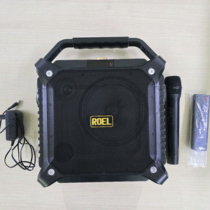 Roel Busking DJ 스피커